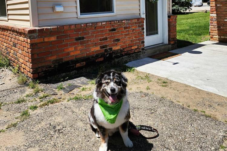Midwest Pet Event: Fluffapalooza