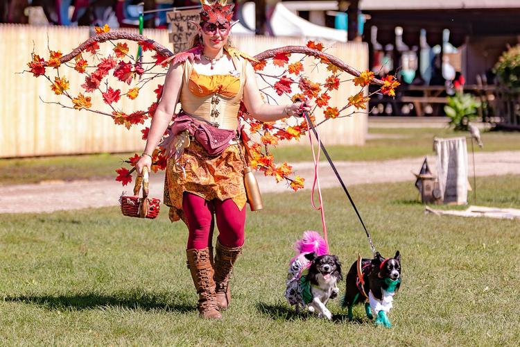 Midwest Pet Event: The Renaissance Faire at Sleepy Hollow Spring Fling