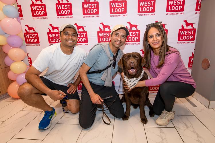 Midwest Pet Event: Annual Bark in Bloom