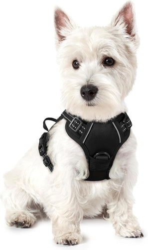 Dog Harness, No-Pull Pet Harness with 2 Leash Clips