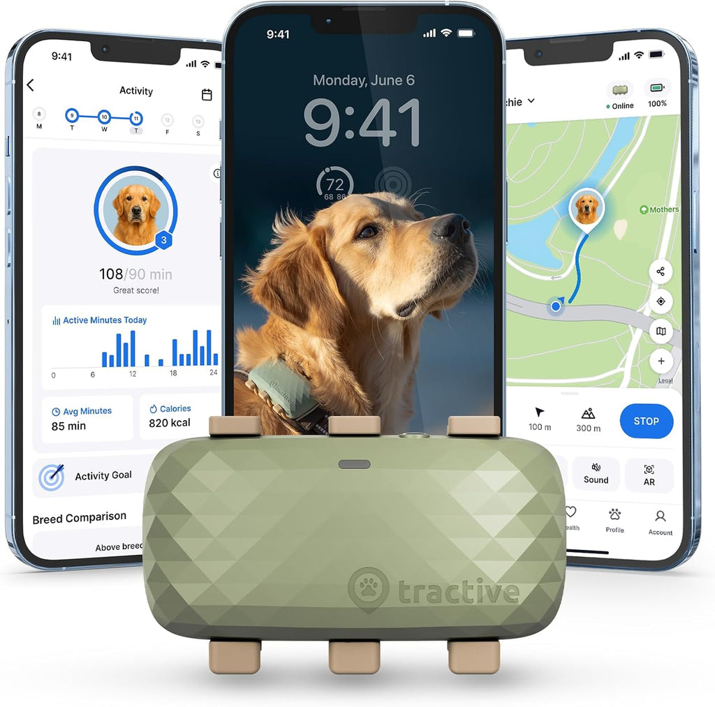 Smart Dog GPS Tracker | Live Pet Tracker with Virtual Fence