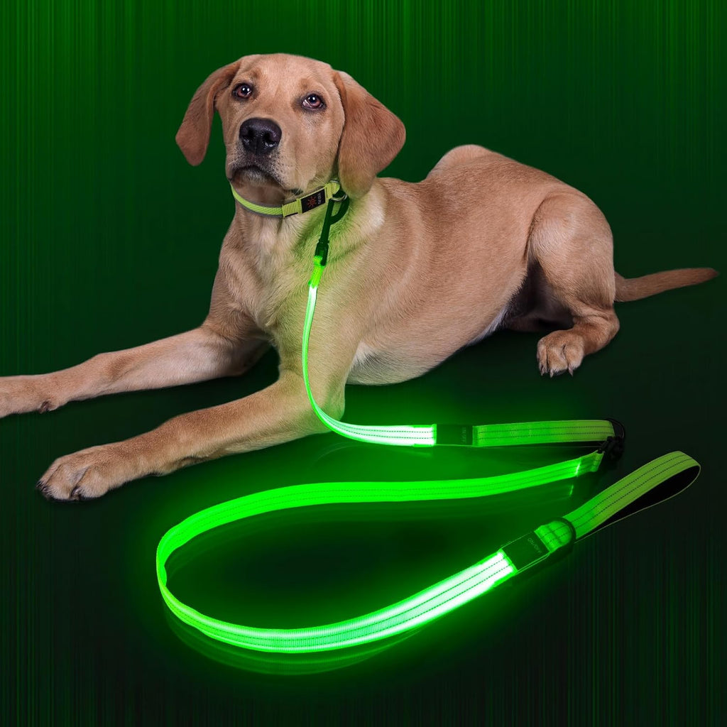 This Light Up Dog Leash, LED Leashes Rechargeable is just $8.49 + Coupon from $14.99 today!
