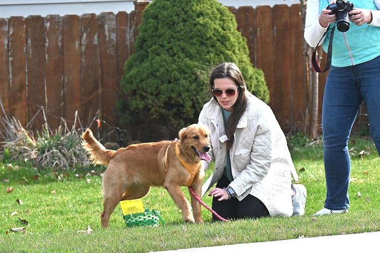 Midwest Pet Event: Bark in the Park