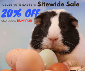 Shop our Easter Weekend Sale!