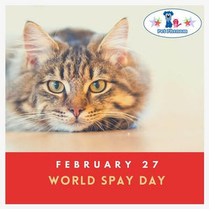 Protect Your Fur Family: Embrace World Spay Day for Happy, Healthy Pets!