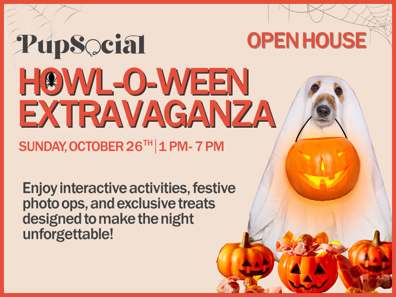 🎃 Howl-O-Ween Extravaganza: Spooky Fun for Pups & Their People!