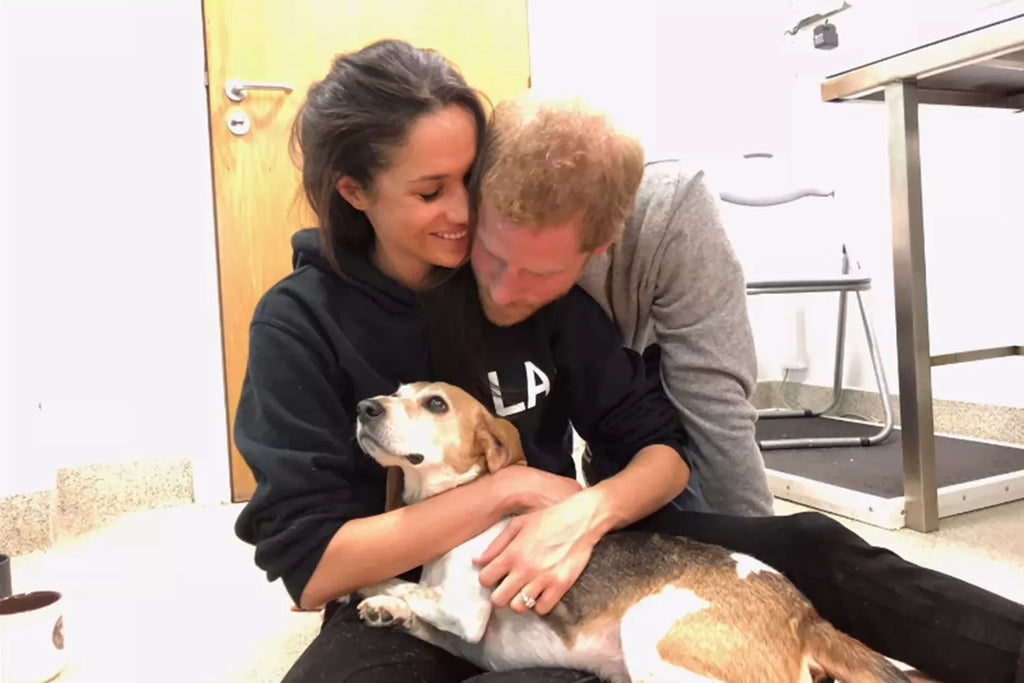 Meghan Markle Says Dog Guy Had 'a Lot of Stories to Tell' After Journeys to Canada and U.K.