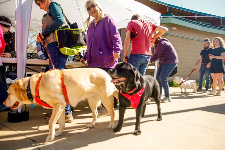 Midwest Pet Event: Mutt Strut