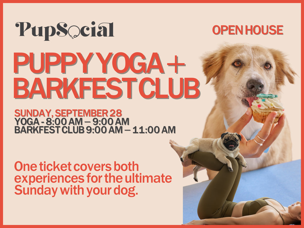 Puppy Yoga + Barkfest Club: The Perfect Sunday Morning in Chicago - September 28, 2025