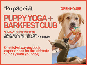 Puppy Yoga + Barkfest Club: The Perfect Sunday Morning in Chicago - September 28, 2025