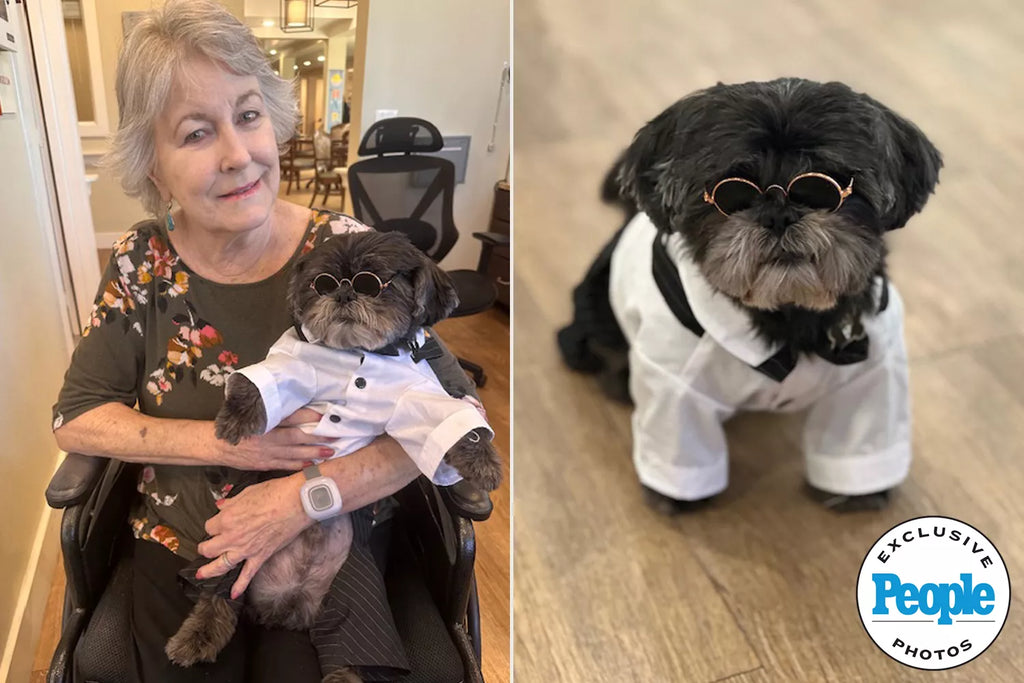 Rescue Dog Rejected by His Former Family Ends U...