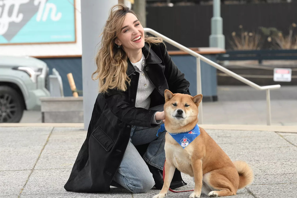 Chloe Fineman Details Her Shiba Inu's Transformation from Low-Energy 'Chonk' to 'Beach Body Ready' Dog (Exclusive)