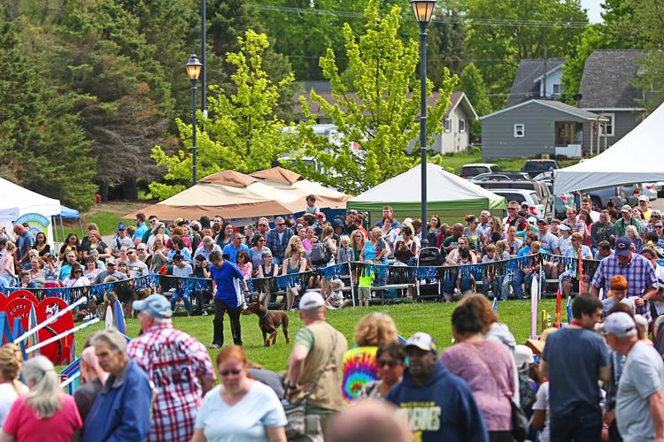 Midwest Pet Event: Frankenmuth Dog Bowl