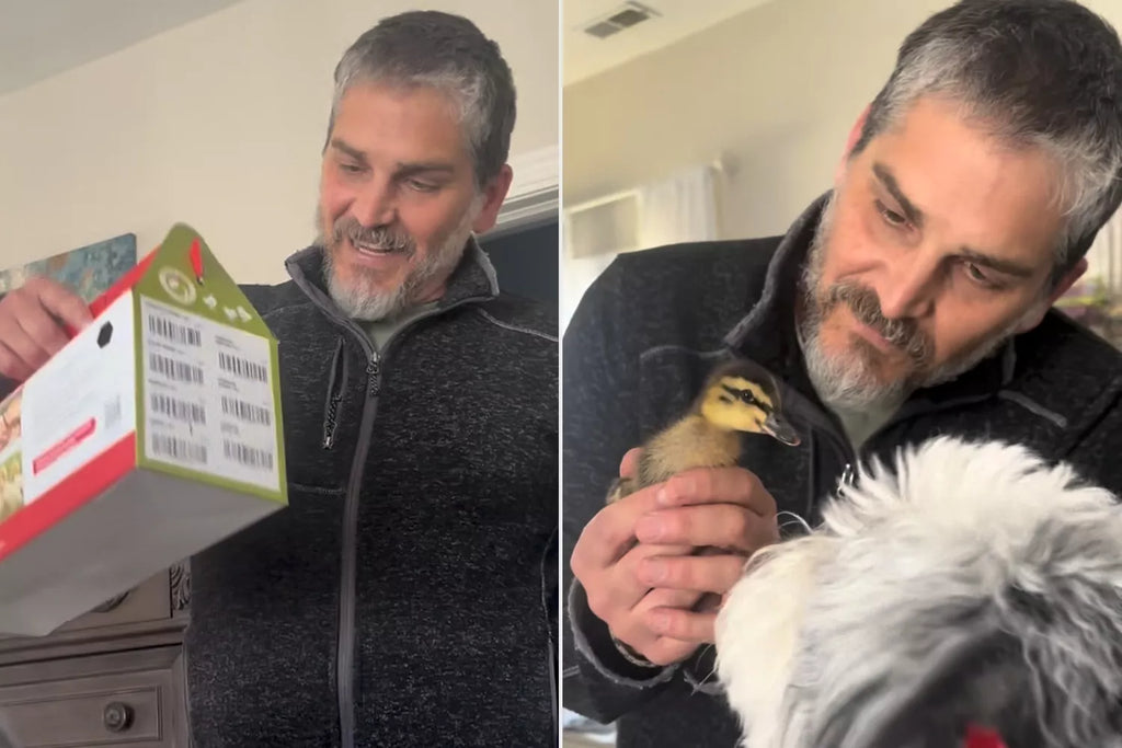 Woman Sends Husband to Grab Lunch. You Won't Be...