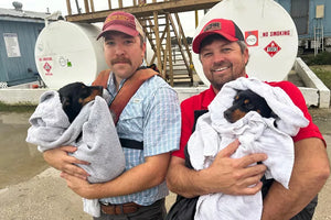 Alabama Rescuers Save Puppies Thrown Off Bridge into Cold Water