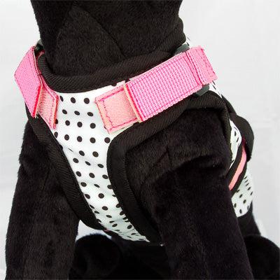 26 Bars & a Band Avant Garde Harness - Couture Princess -Large (#26AGH-CPLG)-Dog-26 Bars & a Band-PetPhenom