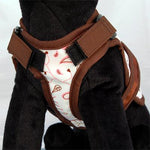 26 Bars & a Band Avant Garde Harness - Floral Fling -Small (#26AGH-FFSM)-Dog-26 Bars & a Band-PetPhenom