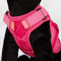 26 Bars & a Band Avant Garde Harness - Prep -Small (#26AGH-PRSM)-Dog-26 Bars & a Band-PetPhenom