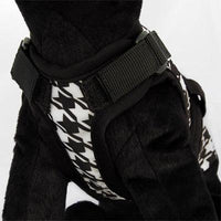 26 Bars & a Band Avant Garde Harness - Sherlock -Large (#26AGH-SHLG)-Dog-26 Bars & a Band-PetPhenom