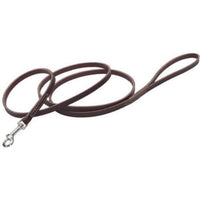 Circle T Latigo Leather Lead 6' Long, 6 feet x 1/4"W