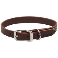 Circle T Latigo Town Dog Collar, 18"L x 3/4"W