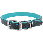 Circle T Layered Fashion Leather Dog Collar Teal, 16"L x 3/4"W