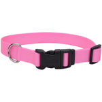 Coastal Pet Adjustable Dog Collar with Plastic Buckle Bright Pink, 8-12"L x 3/8"W