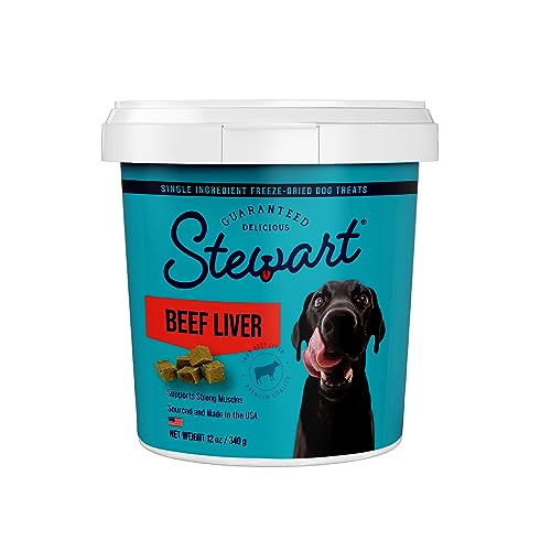 Stewart Freeze Dried Beef Liver Treats, 12 oz-Dog-Stewart-PetPhenom