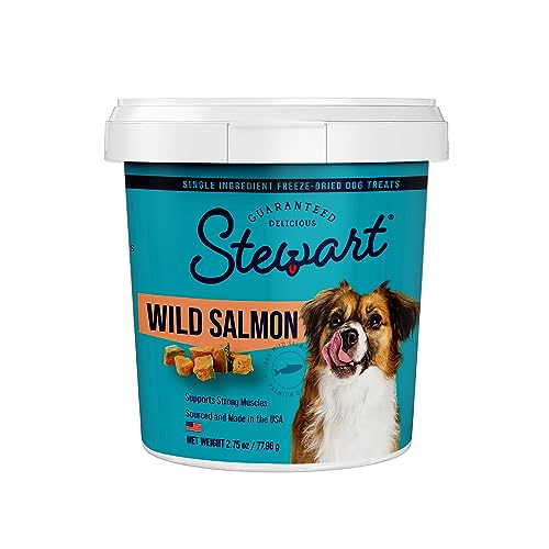 Stewart Freeze Dried Wild Salmon Treat, 2.75 oz-Dog-Stewart-PetPhenom