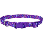Coastal Pet Styles Adjustable Dog Collar Special Paws Purple, 8-12"L x 3/8"W-Dog-Coastal Pet-PetPhenom