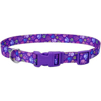 Coastal Pet Styles Adjustable Dog Collar Special Paws Purple, 8-12"L x 3/8"W-Dog-Coastal Pet-PetPhenom