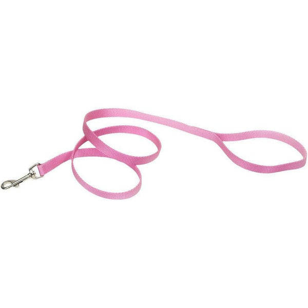 Coastal Pet Single-Ply Nylon Dog Leash Bright Pink, 6 feet x 5/8"W-Dog-Coastal Pet-PetPhenom