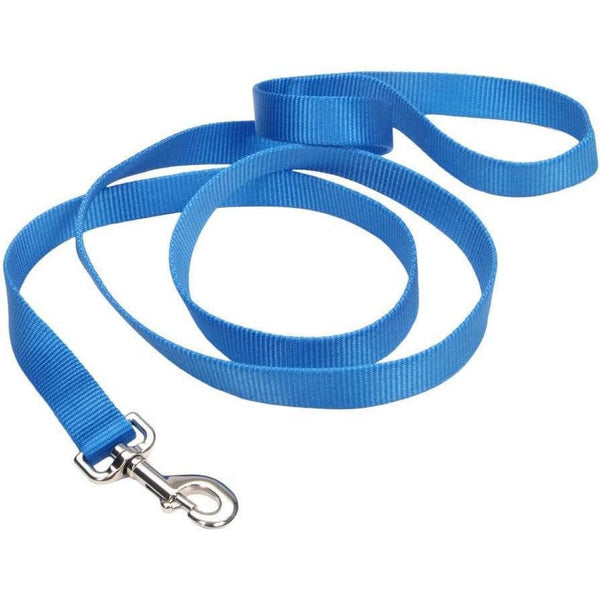 Coastal Pet Single-Ply Nylon Dog Leash Blue Lagoon, 6 feet x 1"W-Dog-Coastal Pet-PetPhenom