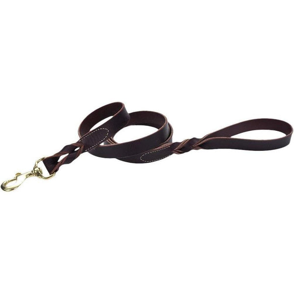 Circle T Latigo Leather Twist Dog Leash with Brass Hardware, 6 feet x 1"W-Dog-Circle T-PetPhenom