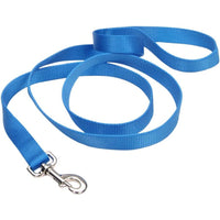 Coastal Pet Single-Ply Nylon Dog Leash Blue Lagoon, 6 feet x 5/8"W-Dog-Coastal Pet-PetPhenom