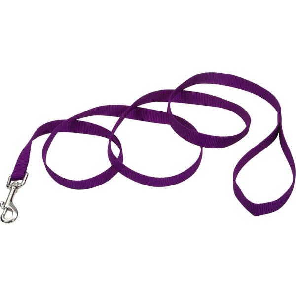 Coastal Pet Single Nylon Lead Purple, 6 feet x 1"W-Dog-Coastal Pet-PetPhenom
