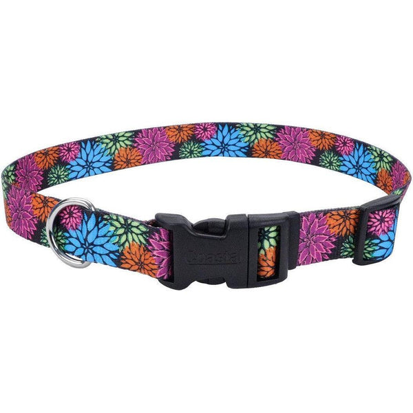 Coastal Pet Styles Adjustable Dog Collar Wildflower, 8-12"L x 3/8"W-Dog-Coastal Pet-PetPhenom