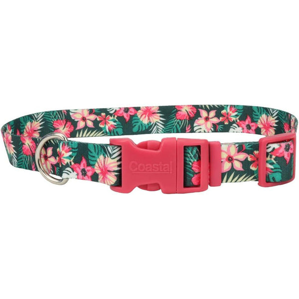 Coastal Pet Styles Adjustable Dog Collar Tropical Flower, 14-20"L x 3/4"W-Dog-Coastal Pet-PetPhenom