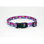 Coastal Pet Styles Adjustable Dog Collar Special Paws Purple, 14-20"L x 3/4"W-Dog-Coastal Pet-PetPhenom