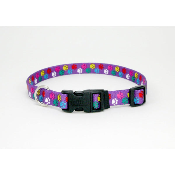 Coastal Pet Styles Adjustable Dog Collar Special Paws Purple, 14-20"L x 3/4"W-Dog-Coastal Pet-PetPhenom