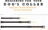 Wolfgang OverLand Dog Collar, 12-18"L x 1"W-Dog-Wolfgang-PetPhenom
