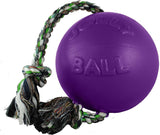 Jolly Pets Romp-n-Roll Rope and Ball Dog Toy, 4.5 Inches/Small, Purple