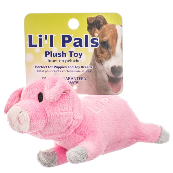 Lil Pals Ultra Soft Plush Pig Dog Toy, 6 count