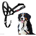 Coastal Pet Walk n Train Dog Head Halter, X Large - 1 count-Dog-Coastal Pet-PetPhenom