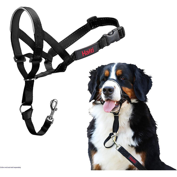 Coastal Pet Walk n Train Dog Head Halter, X Large - 1 count-Dog-Coastal Pet-PetPhenom