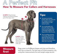 Coastal Pet Sublime Adjustable Dog Collar Blue Waves, 18-26"L x 1.5"W-Dog-Coastal Pet-PetPhenom