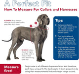 Coastal Pet Sublime Adjustable Dog Collar Blue Waves, 18-26"L x 1.5"W-Dog-Coastal Pet-PetPhenom