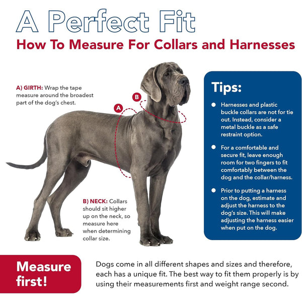 Coastal Pet Sublime Adjustable Dog Collar Sunset Palms, 12-18"L x 1"W-Dog-Coastal Pet-PetPhenom