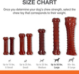 Nylabone Power Chew Basted Blast Chew Bone Bacon and Steak Flavor Giant, 1 count-Dog-Nylabone-PetPhenom