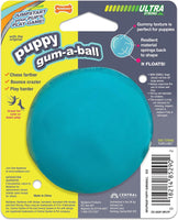 Nylabone Power Play Gum-a-Ball Puppy Toy, 1 count-Dog-Nylabone-PetPhenom